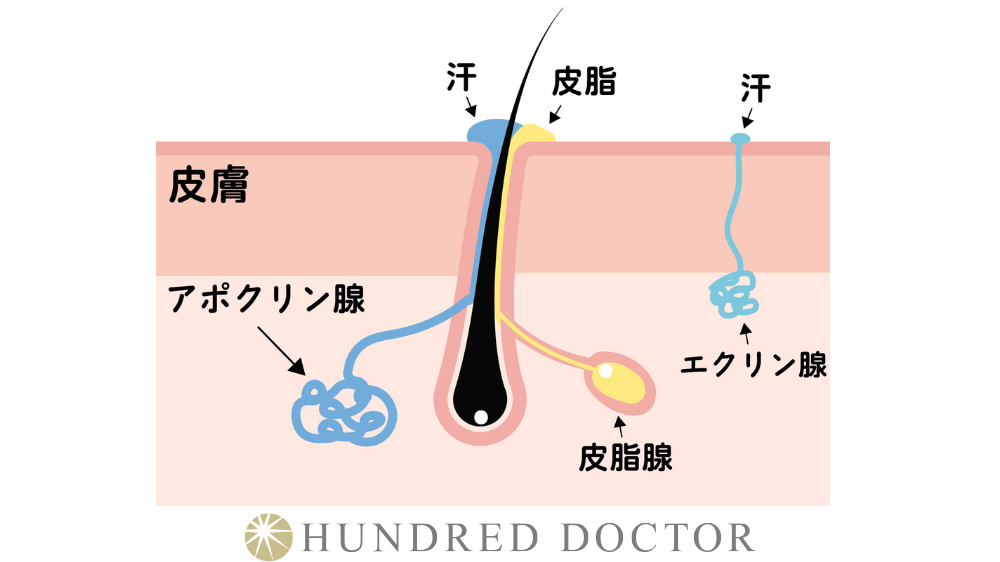 汗の臭い