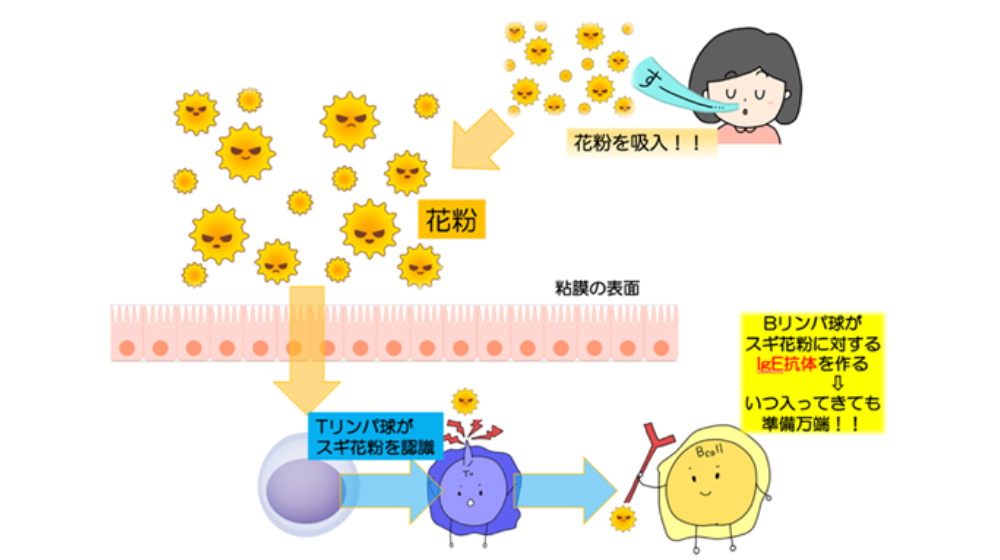 鼻詰まりの原因は?日常でできる解消方法や長引く場合の対処法を紹介