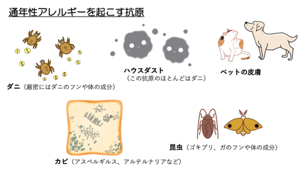 鼻詰まりの原因は?日常でできる解消方法や長引く場合の対処法を紹介