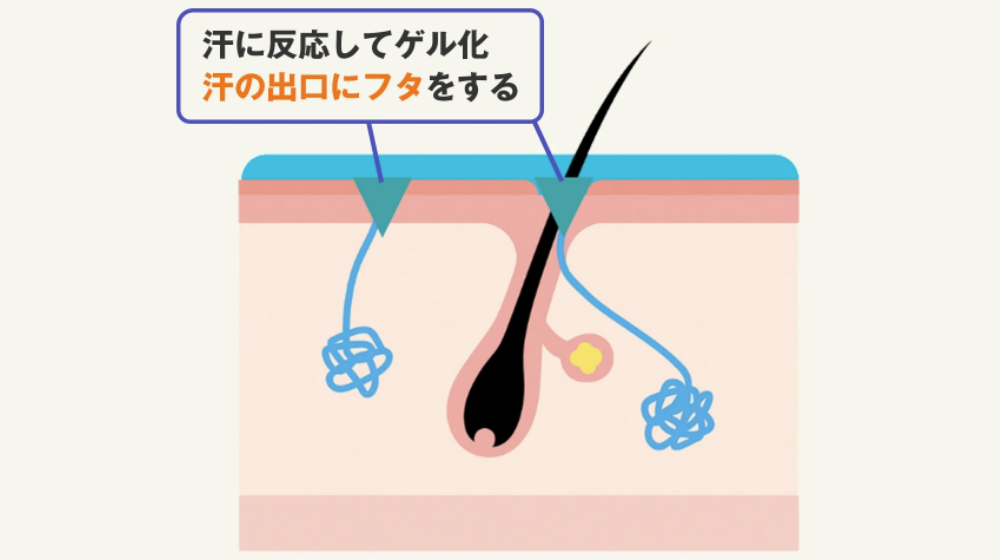 医師共同開発「わき用クリーム」とは?臭い外来医師との共同開発商品紹介!